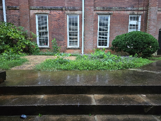 Connor's Eagle Scout Project | 3/8/25 - Troop 275 Indian Land, SC