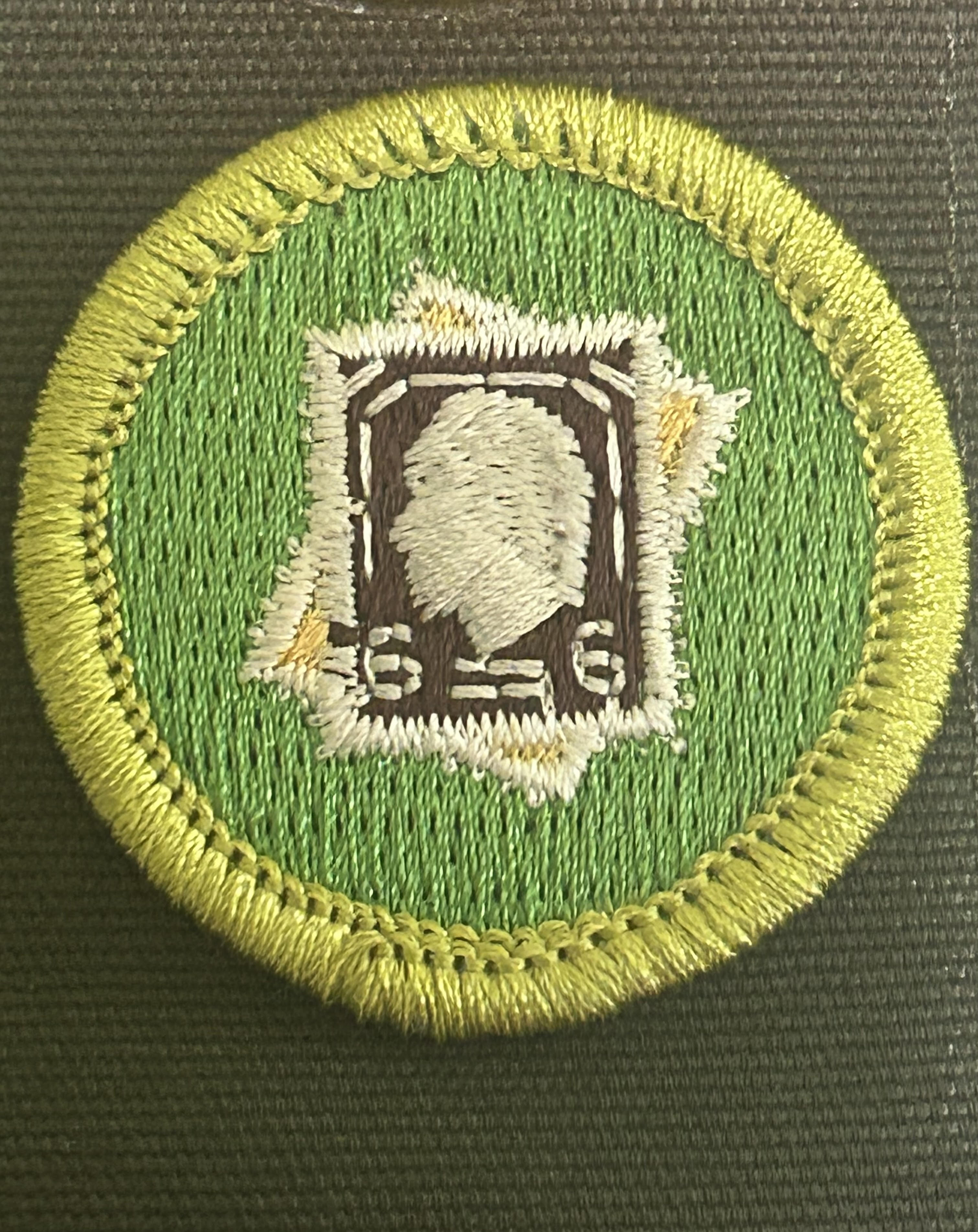 Stamp Collecting Merit Badge 7/27/24 - Troop 275 Indian Land, SC